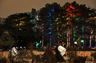 dsc_0074_074