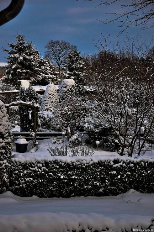 Winterimpressionen