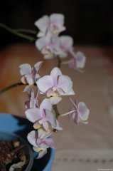 dsc_0030.jpg