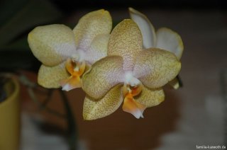 dsc_0032.jpg